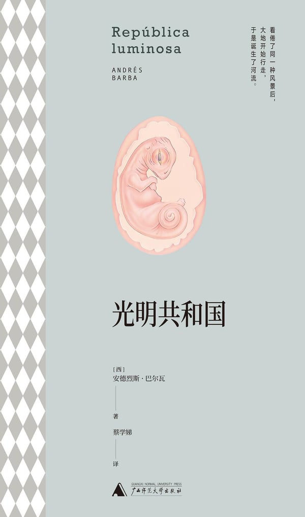 《光明共和国》封面