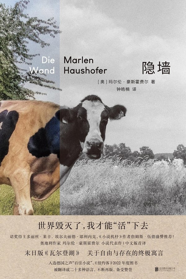 《隐墙》封面