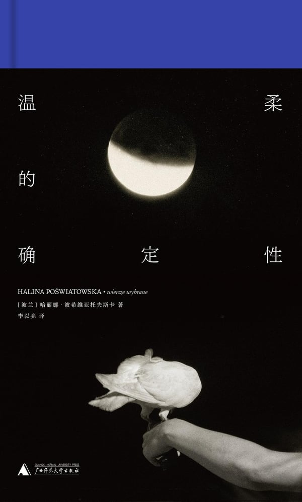 《温柔的确定性》封面