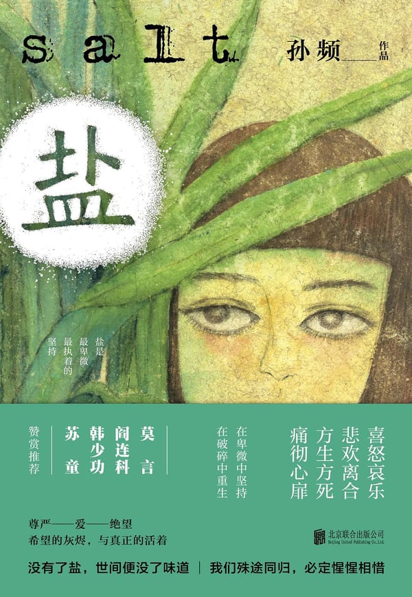 《盐》封面