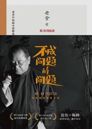 《不成问题的问题》封面