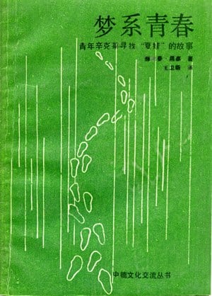 《梦系青春》封面