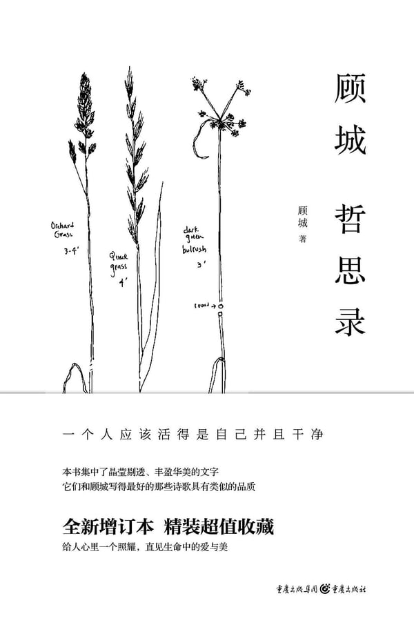 《顾城哲思录》封面
