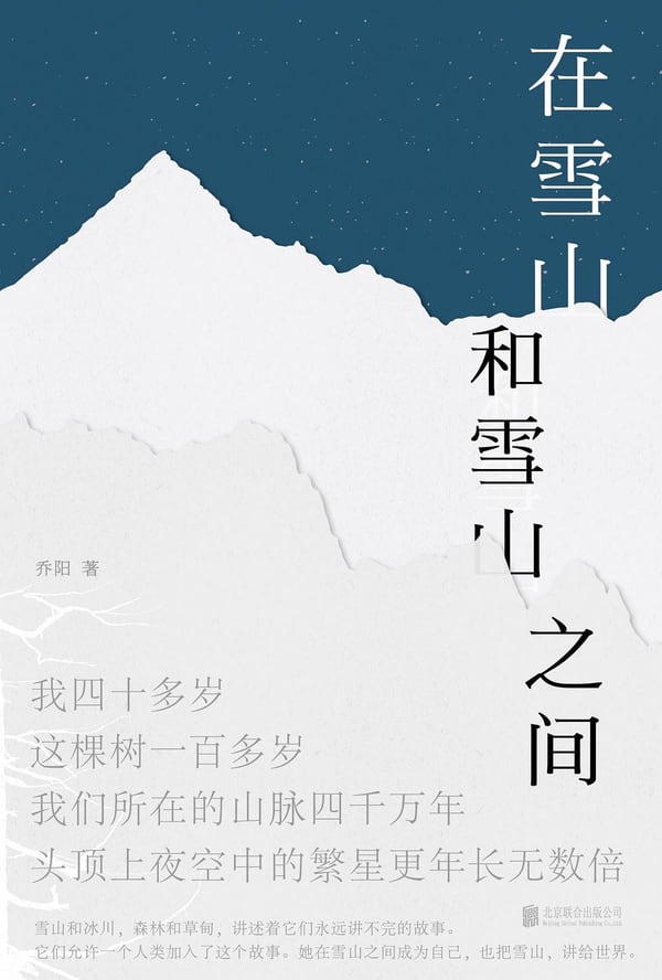 《在雪山和雪山之间》封面