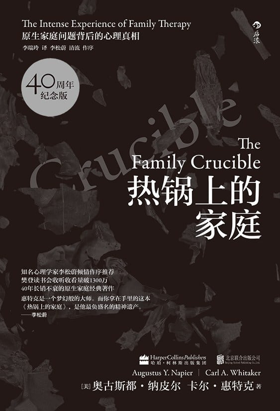 《热锅上的家庭》封面