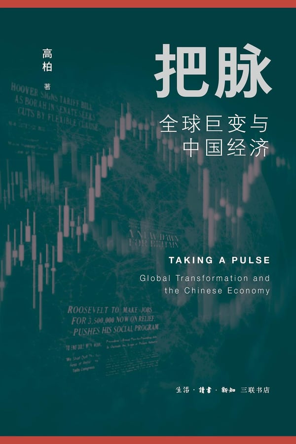 《把脉：全球巨变与中国经济》封面
