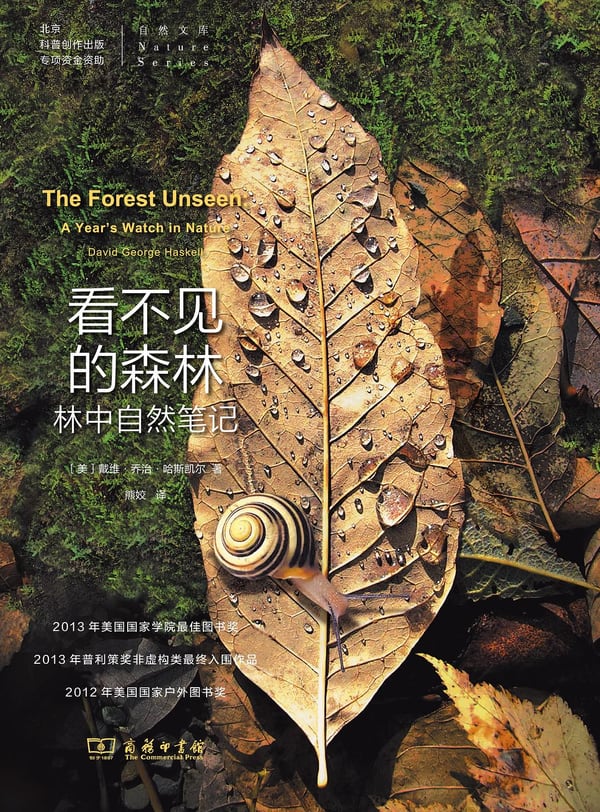 《看不见的森林》封面
