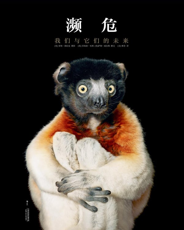 《濒危》封面