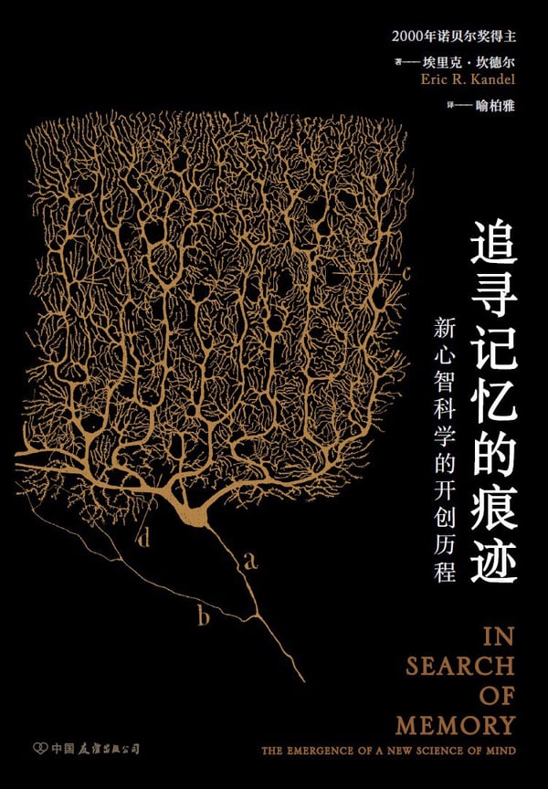 《追寻记忆的痕迹》封面