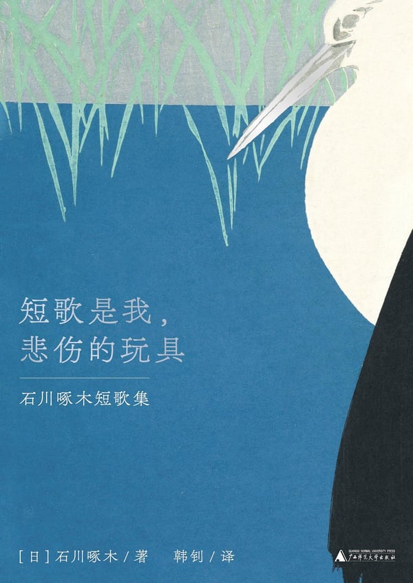 《短歌是我，悲伤的玩具》封面