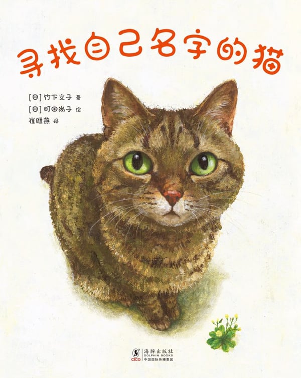 《寻找自己名字的猫》封面