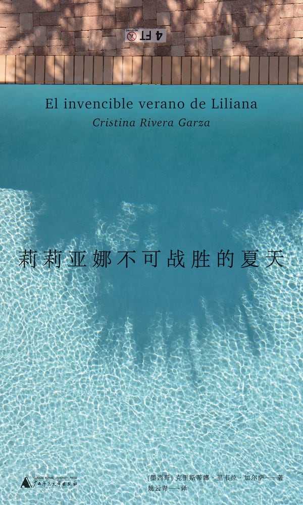 《莉莉亚娜不可战胜的夏天》封面