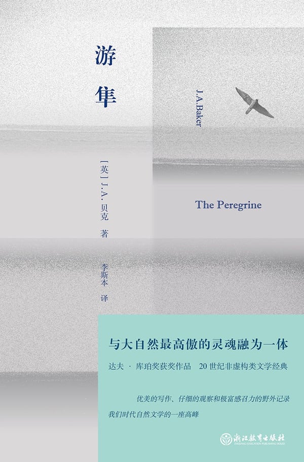 《游隼》封面