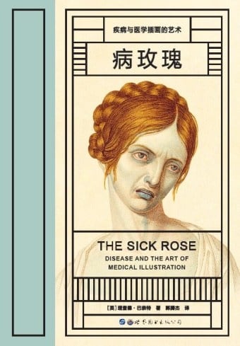 《病玫瑰》封面
