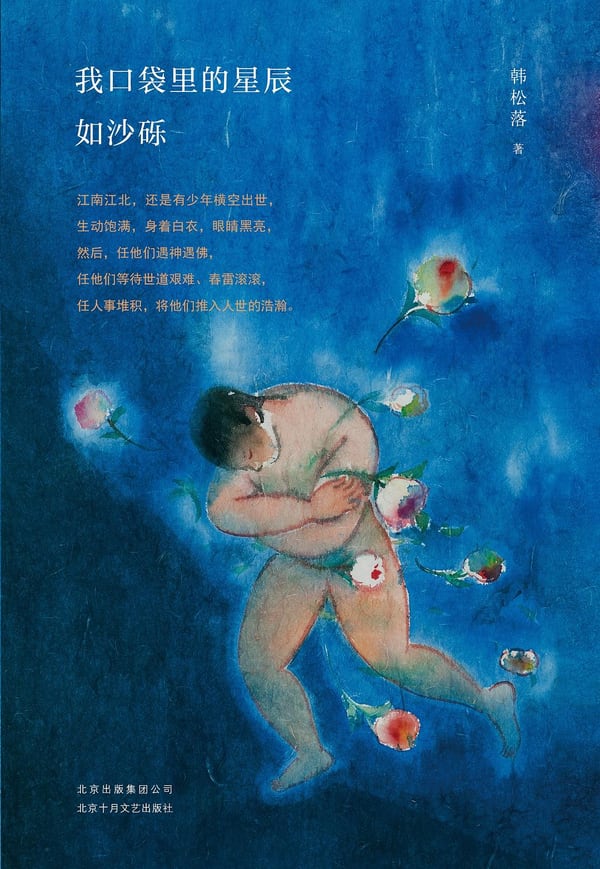 《我口袋里的星辰如沙砾》封面