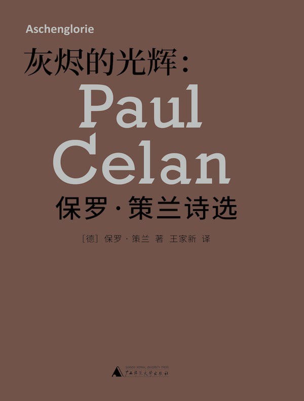 《灰烬的光辉》封面