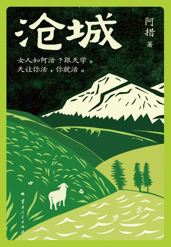 《沧城》封面