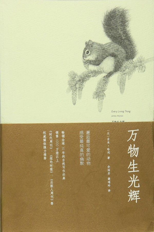 《万物生光辉》封面
