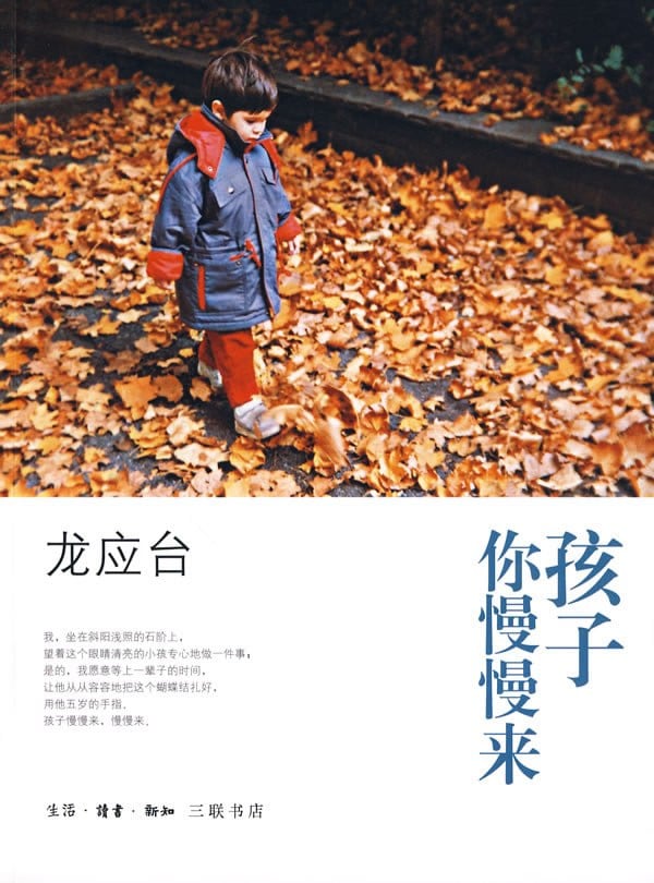 《孩子你慢慢来》封面
