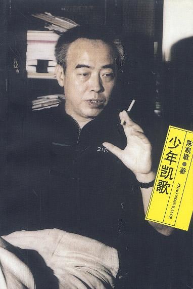 《少年凯歌》封面