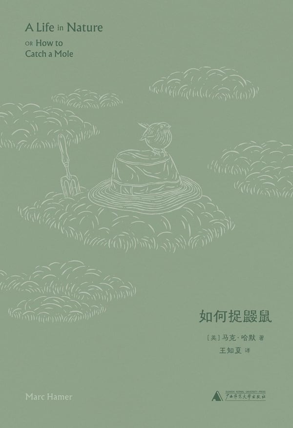 《如何捉鼹鼠》封面
