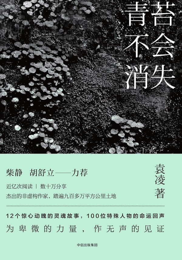 《青苔不会消失》封面