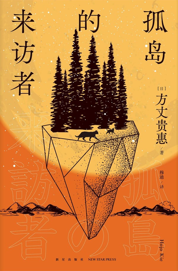 《孤岛的来访者》封面