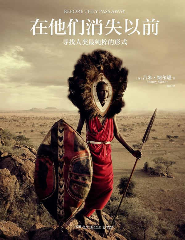 《在他们消失以前》封面