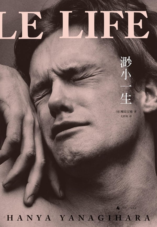 《渺小一生》封面