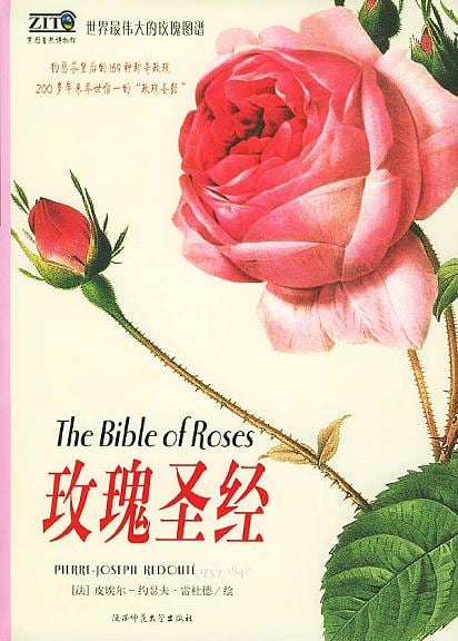 《玫瑰圣经》封面