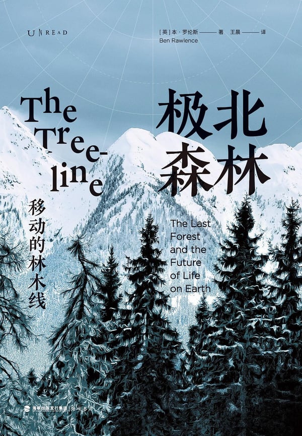 《极北森林》封面