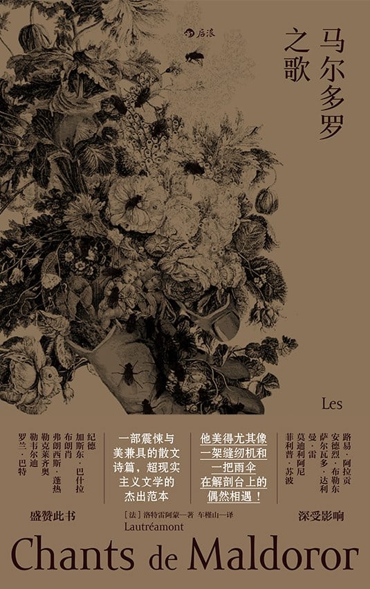 《马尔多罗之歌》封面