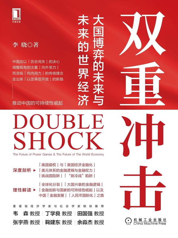 《双重冲击》封面