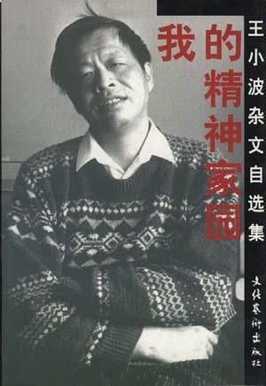 《我的精神家园》封面