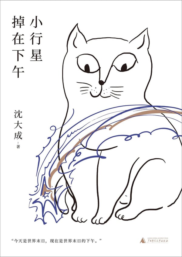 《小行星掉在下午》封面