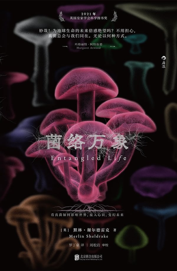 《菌络万象》封面