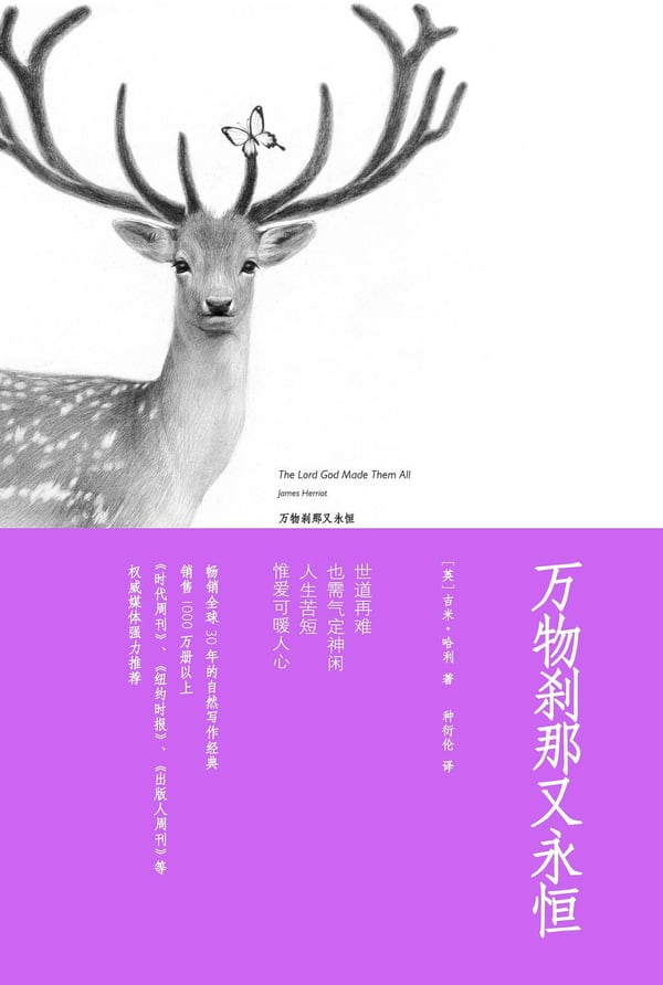 《万物刹那又永恒》封面