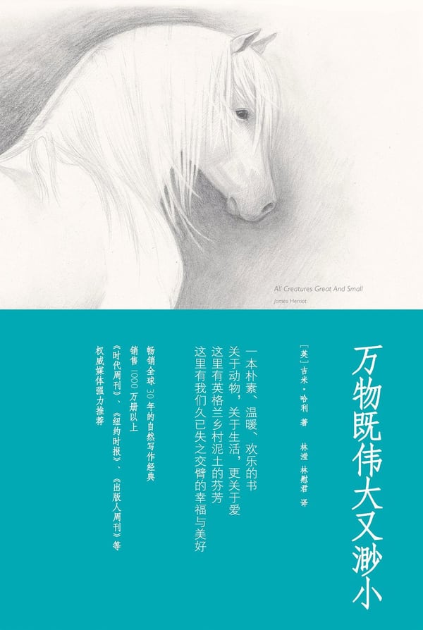 《万物既伟大又渺小》封面