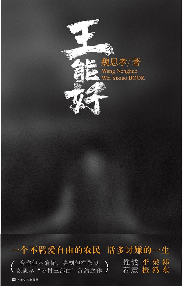 《王能好》封面