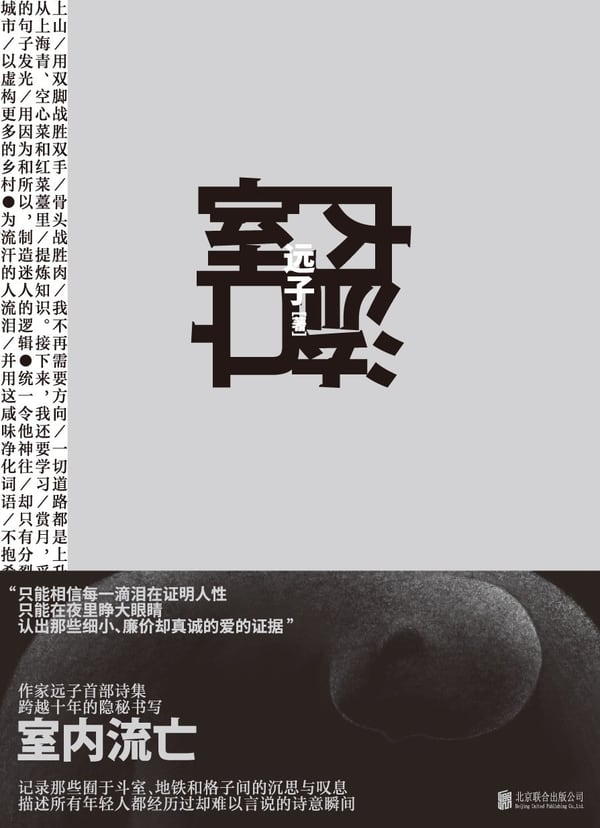《室内流亡》封面