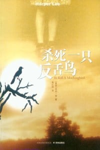 《杀死一只反舌鸟》封面