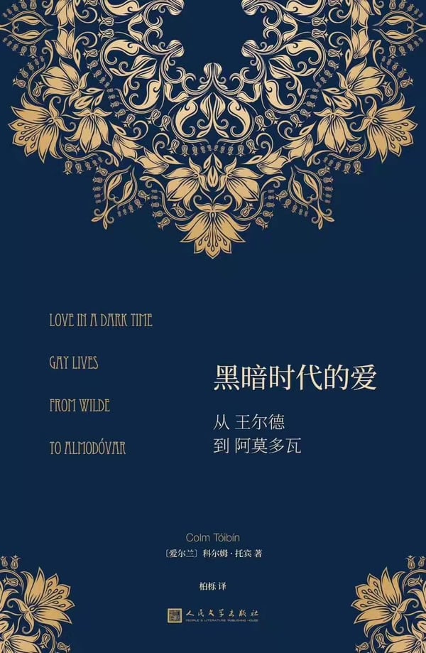 《黑暗时代的爱》封面