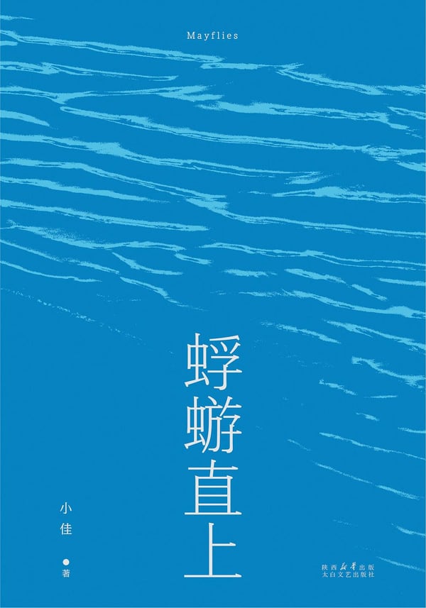 《蜉蝣直上》封面