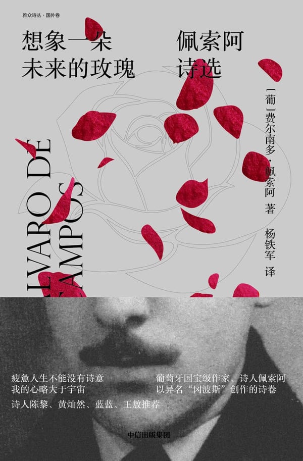 《想象一朵未来的玫瑰》封面