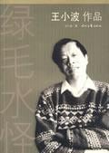 《绿毛水怪》封面