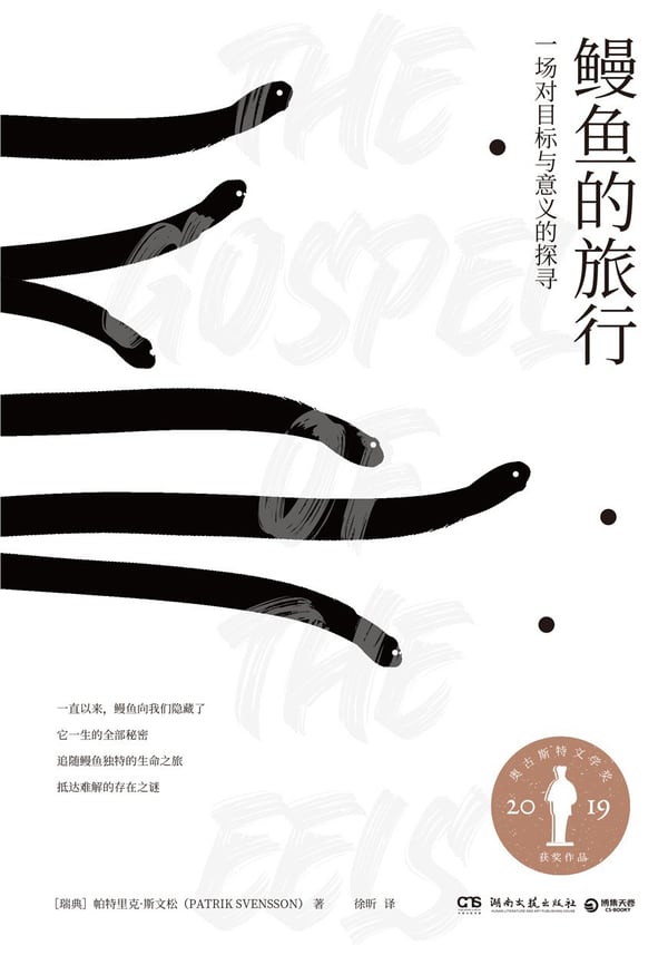 《鳗鱼的旅行》封面