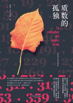 《质数的孤独》封面
