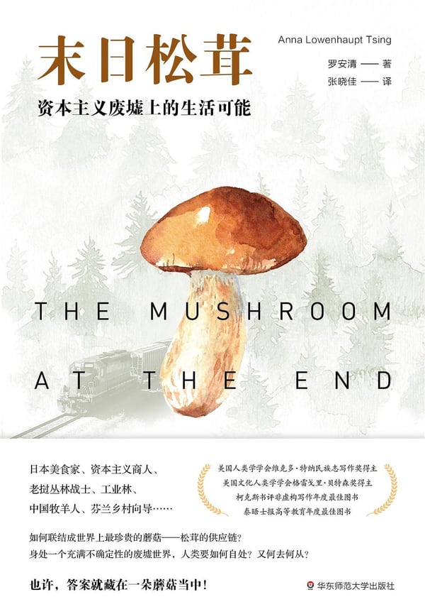 《末日松茸》封面