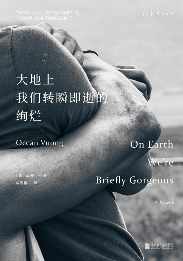 《大地上我们转瞬即逝的绚烂》封面