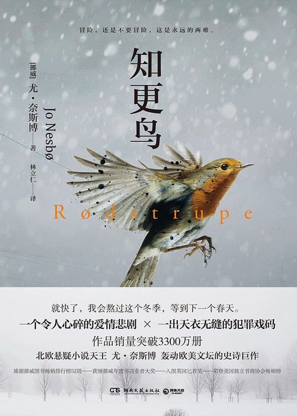 《知更鸟》封面
